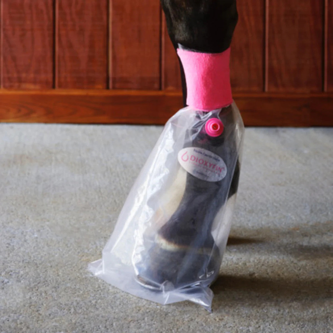 Dioxyfin Equine Starter Pack (Set of 3)
